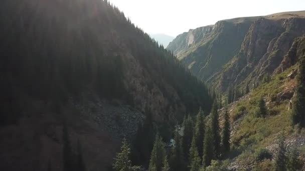 산악 도로, 항공 영상. 자동차 여행 — 비디오