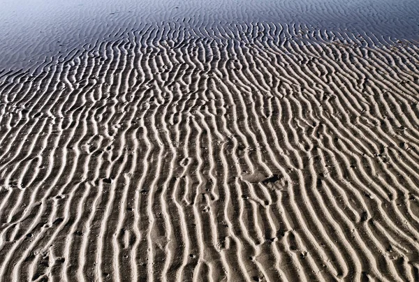 Sand ripples detail, textured sand shapes close up, at low tide. High contrast, muted colors effect.