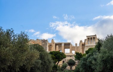 Atina, Yunanistan. Akropolis yamacı. Zeytin ağaçları ve antik arşiv