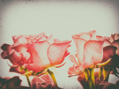 Sıcak bir arka plan üzerinde yükseldi