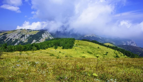 Graswald und Berge — Stockfoto