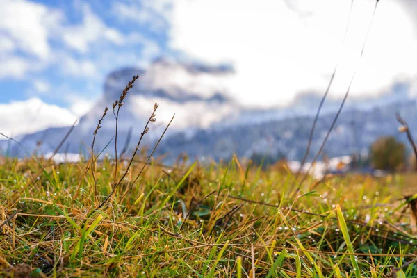 Axalp schweiziska Alperna — Stockfoto