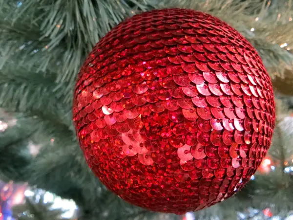 Rote Spielzeugkugel Hängt Weihnachtsbaum — Stockfoto