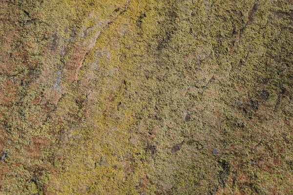Granit Taş Yüzey Dokusu Arkaplanı — Stok fotoğraf