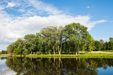 Güzel durgun göl ufukta ağaçlar ve gökte beyaz kabarık bulutlar. Kulübede huzurlu bir yaz günü. Göldeki büyük yeşil ağaçlar