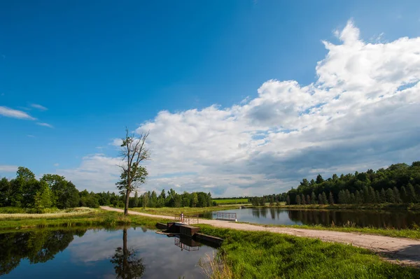 Krásné klidné jezero se stromy na obzoru a bílými opuchlými mraky na obloze. Klidný letní den na chatě. Velké zelené stromy na jezeře — Stock fotografie