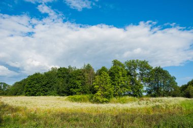 Güzel durgun göl ufukta ağaçlar ve gökte beyaz kabarık bulutlar. Kulübede huzurlu bir yaz günü. Göldeki büyük yeşil ağaçlar