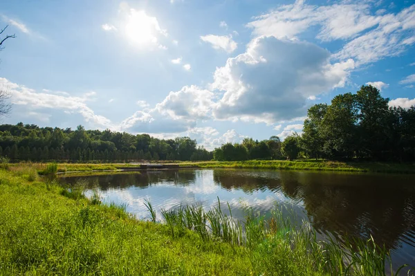 Krásné klidné jezero se stromy na obzoru a bílými opuchlými mraky na obloze. Klidný letní den na chatě. Velké zelené stromy na jezeře — Stock fotografie