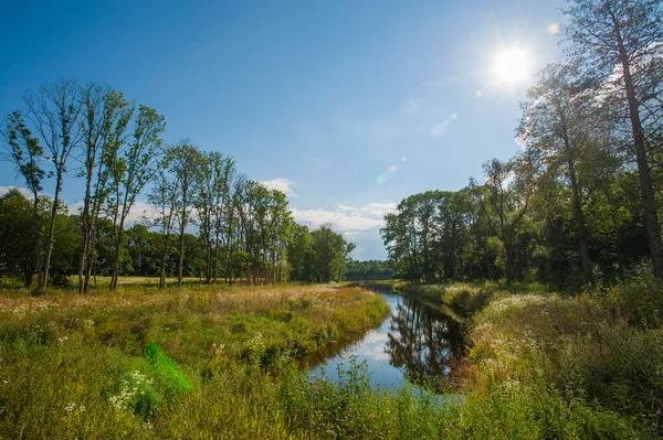 Krásné klidné jezero se stromy na obzoru a bílými opuchlými mraky na obloze. Klidný letní den na chatě. Velké zelené stromy na jezeře — Stock fotografie