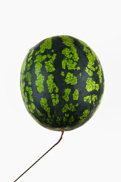 Balonowy arbuz. Prawdziwy arbuz. na białym tle. Minimalny pomysł na jedzenie i owoce w koncepcji letniej. — Zdjęcie stockowe