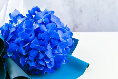 Beyaz arka planda mavi buket. Bir buket süsen çiçeği. Çiçekler doymuş mavi. Yukarıdan bak. Yazmak için yer.