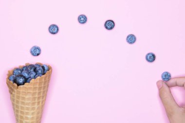 yabanmersinli dondurma. Stüdyo çekimi. Böğürtlen havalanması. Yazıt için bir yer. Yukarıdan görünüm.