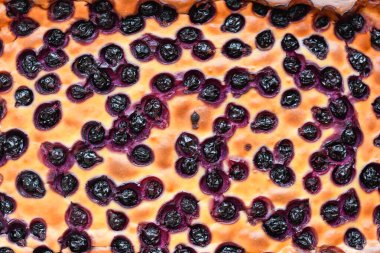 Cam kasede meyveli turta. Cam Kasede Ev Yapımı Bütünüyle Gevrek Kek. Taze pişmiş. Organik Tatlı 