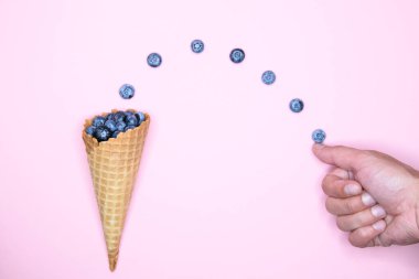 yabanmersinli dondurma. Stüdyo çekimi. Böğürtlen havalanması. Yazıt için bir yer. Yukarıdan görünüm.