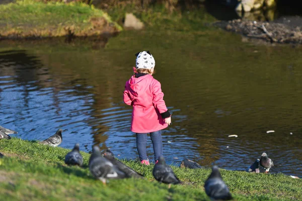 Mädchen füttert bei sonnigem Wetter Vögel. schöne junge Frau füttert Vögel im Park an einem sonnigen Herbsttag — Stockfoto