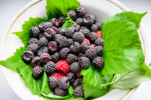 Berries on green leaves. black raspberries with red. berries. vitamins from berries. — Stock Photo, Image