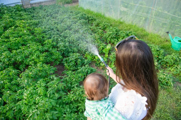Ibu dan anak buah air, buah-buahan, sayuran, makanan eco. Tanaman buatan sendiri. tanpa aditif. makanan sehat untuk bayi . — Stok Foto