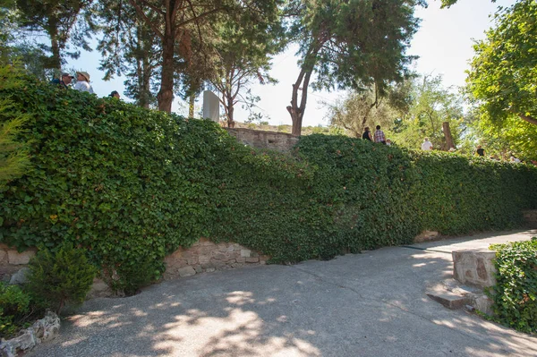 Muro cubierto, la naturaleza toma su. El verde viene . — Foto de Stock