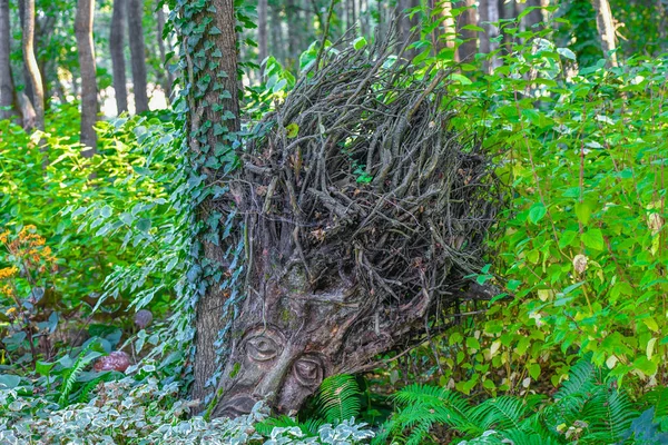 Głowa wykonana z korzeni drzew. Rzemiosła z drewna. rzemiosło. — Zdjęcie stockowe