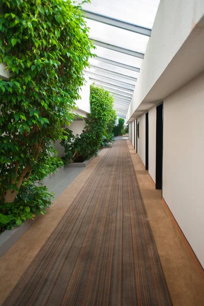 nature inside the building, corridor and foliage