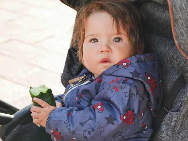 Child eats a cucumber. sitting in a stroller. lively emotions. child 0-1 year old — ストック写真