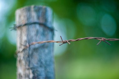 Bir boruya bağlanmış paslı kablo.