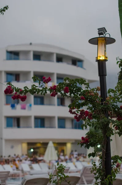 Горящий фонарь, завернутый цветами перед отелем — стоковое фото