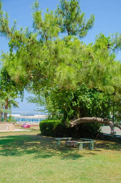 Mesa com assentos de madeira no gramado perto do campo de ténis e do mar de pombos — Fotografia de Stock