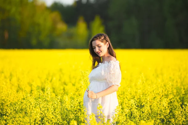 Pregnancy in his youth. Young beautiful pregnant woman, pregnancy is in its prime when it is full of desire — Stock Photo, Image