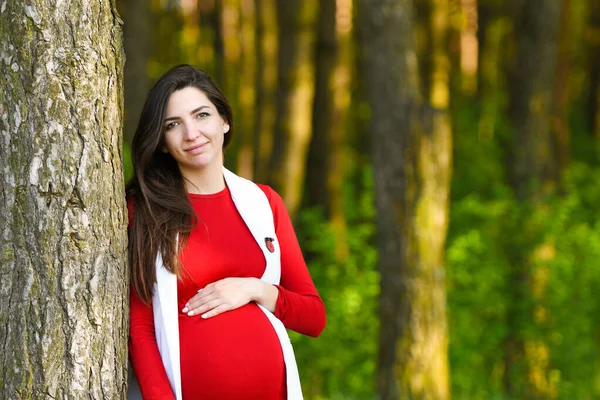 Ragazza incinta in abito rosso. Ritratto di bella donna incinta in abito rosso nel parco primaverile fiorito — Foto Stock