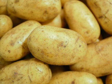 Dükkan vitrininde patates. Mağaza vitrininde beyaz, saf patates çubukları. yakın plan