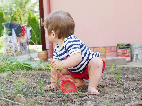 Anak bermain dengan spatula merah anak-anak. Anak kecil menggali ke dalam tanah — Stok Foto