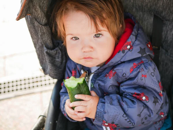 Ребенок ест огурец. сидя в коляске. живые эмоции. ребенок 0-1 год — стоковое фото