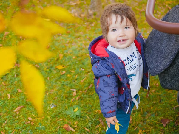Детские и желтые листья. Прекрасный ребенок с желтым листом на открытом воздухе. Прекрасный возраст ребенка 1 год на открытом воздухе осенью с желтым листом — стоковое фото