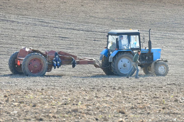 트랙터가 밭갈이를 한다. 묘목을 심은 농부, 석양을 쏘아 땅을 준비하는 트랙터 농부 — 스톡 사진
