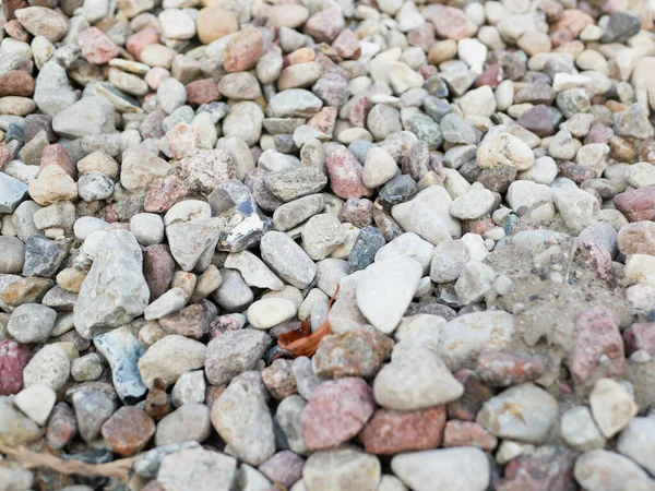 Pebbles közelkép. Kiváló minőségű közeli kép különböző kavicsokról. Egy napsütéses napon. száraz kő — Stock Fotó