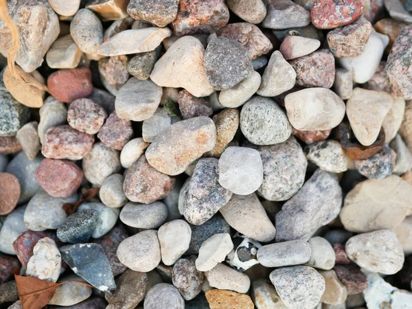 Kiezelstenen van dichtbij. Hoge kwaliteit close up foto van diverse kiezelsteentjes. Op een zonnige dag. droge steen — Stockfoto
