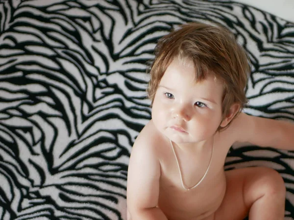 Naakt uitzicht op de babytop. Tegen de achtergrond van een zebra. Zebra deken. Leuke blonde baby met een naakte romp — Stockfoto