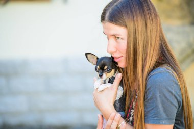 Kollarında oyuncak teriyer vardı. Kıyafetler giymişti. Hayvanlara ve hayvanlara karşı sevgi