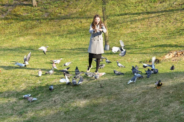 Chica alimenta palomas. en el parque en una pagoda soleada. cuidar de los animales. Hermosa mujer sonriente alimentando palomas en el parque durante el día —  Fotos de Stock