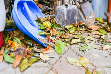 Kürek ve sonbahar yaprakları. Kar küreği düşen sonbahar yapraklarında yatar. Kış geliyor. Sonbaharda karlar kalkar..