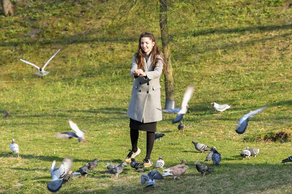 Chica alimenta a los pájaros en tiempo soleado. Hermosa mujer joven alimentando aves en el parque en el soleado día de otoño —  Fotos de Stock