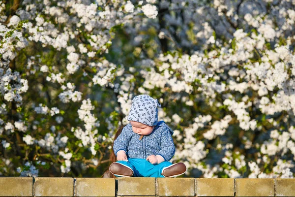 Ребенок на фоне весеннего цветения . — стоковое фото