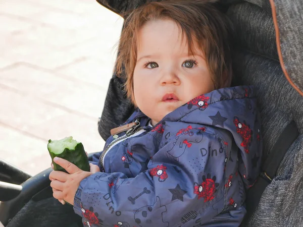 Ребенок ест огурец. сидя в коляске. живые эмоции. ребенок 0-1 год — стоковое фото