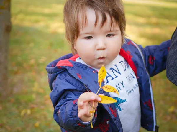 Bebé y hoja amarilla. Precioso bebé con hojas amarillas al aire libre. Preciosa edad del bebé de 1 año al aire libre en otoño con hoja amarilla —  Fotos de Stock