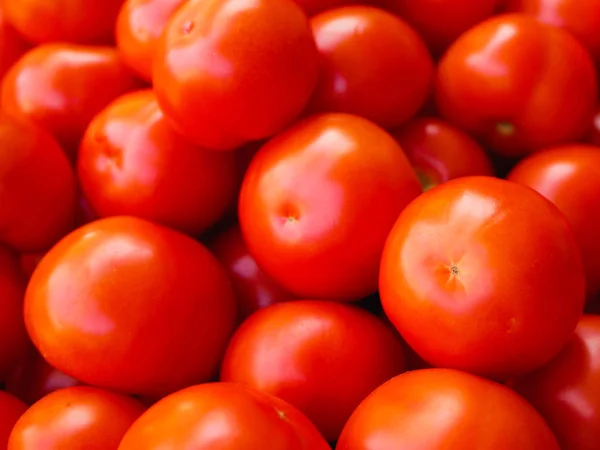 Tomates rojo-anaranjados de cerca. Hermosos tomates rojos frescos, de cerca, la agricultura respetuosa con el medio ambiente, es útil. Para la salud — Foto de Stock