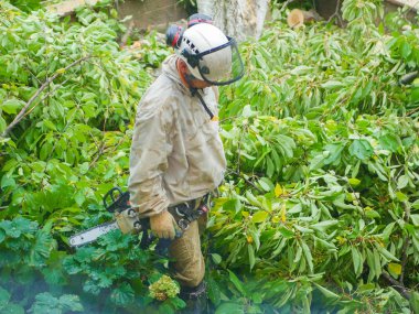 Yeşillikte elektrikli testereli bir adam. Seyir defterinden başka bir nesneye sızar