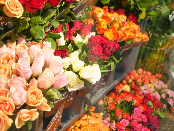 Букеты цветов в цветочном счетчике. цветы любимая женщина . — стоковое фото