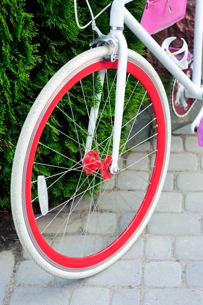 Bicicleta branca e vermelha. Elegante bicicleta vermelha feminina. de pé em um dia ensolarado lá fora. bom pagode para ciclismo . — Fotografia de Stock