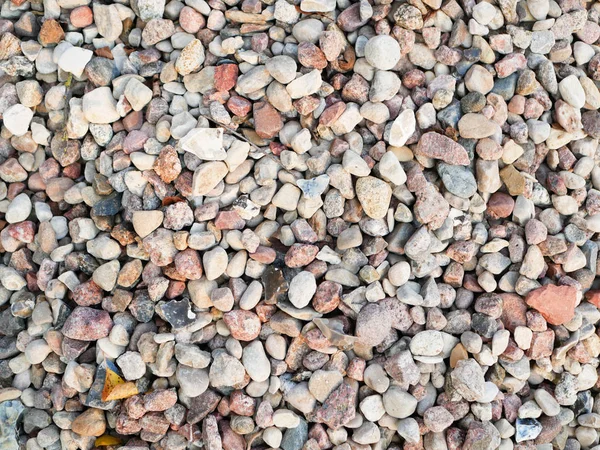 Kiezelstenen van dichtbij. Hoge kwaliteit close up foto van diverse kiezelsteentjes. Op een zonnige dag. droge steen — Stockfoto